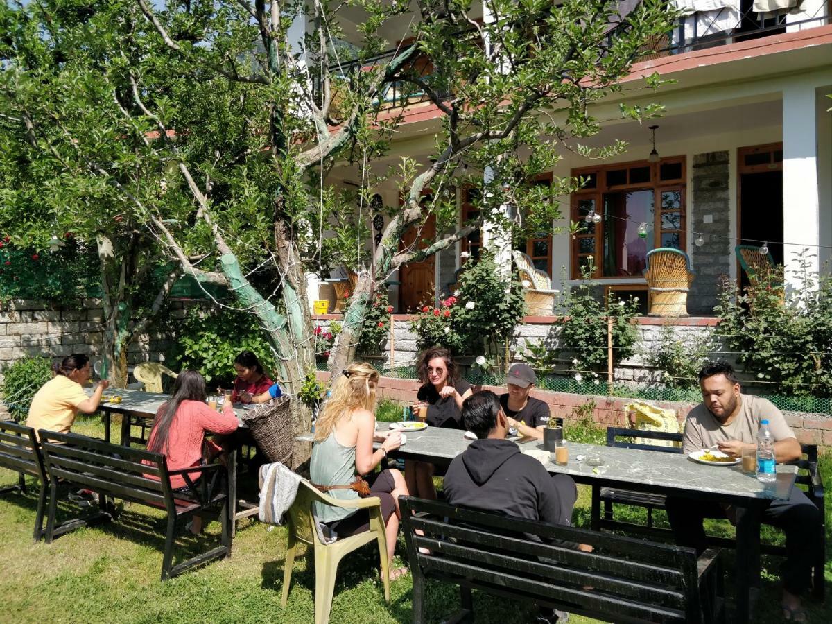 Madpackers Manali Hostel Ngoại thất bức ảnh